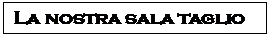 Casella di testo: La nostra sala taglio 